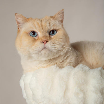 Atlas Cat Tree