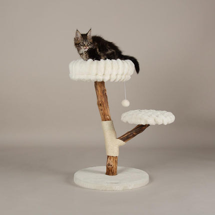 Atlas Cat Tree