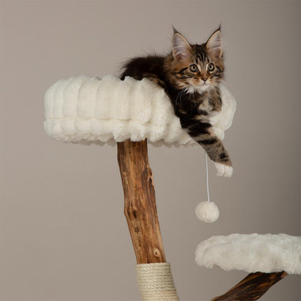 Atlas Cat Tree