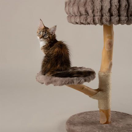 Atlas Cat Tree