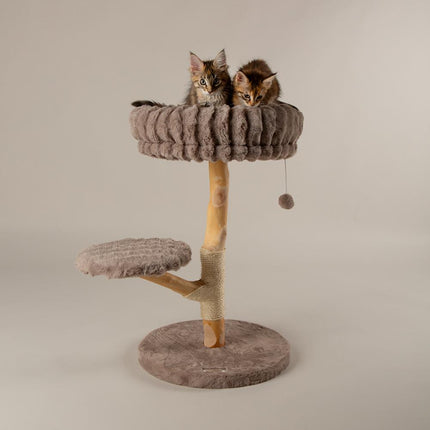 Atlas Cat Tree