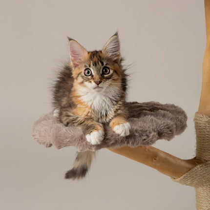 Atlas Cat Tree