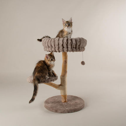 Atlas Cat Tree