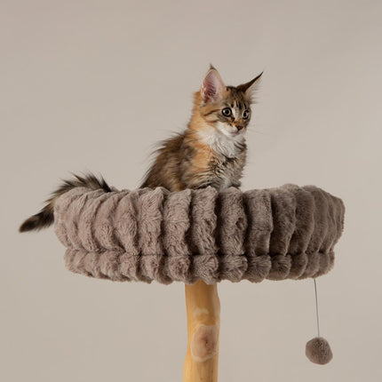Atlas Cat Tree