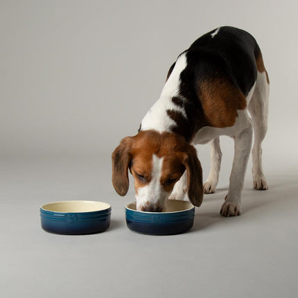 Ombre voerbak voor honden