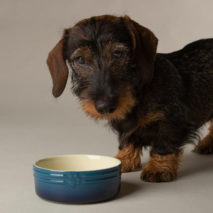 Ombre voerbak voor honden