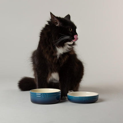 Ombre voerbak voor katten