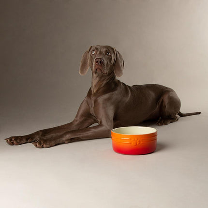 Ombre voerbak voor honden