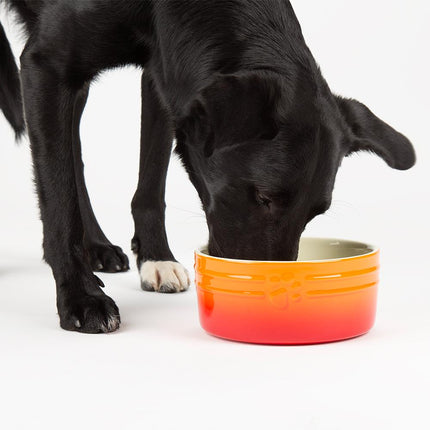Ombre voerbak voor honden