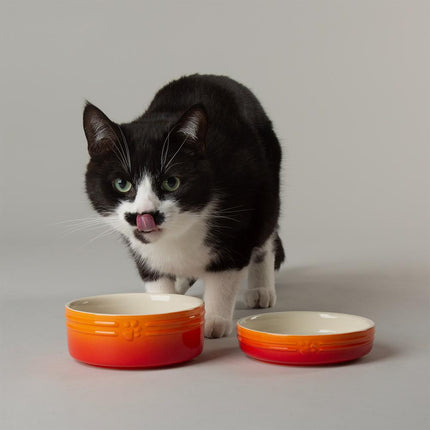 Ombre voerbak voor katten