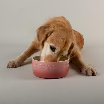 Ombre voerbak voor honden