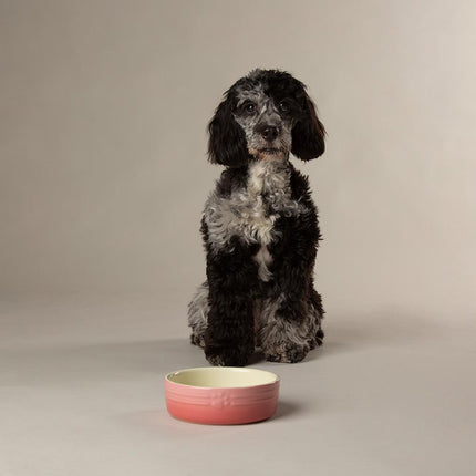Ombre voerbak voor honden