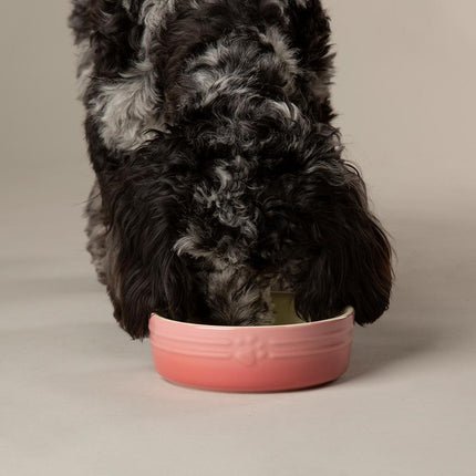 Ombre voerbak voor honden
