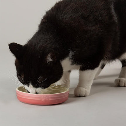 Ombre voerbak voor katten