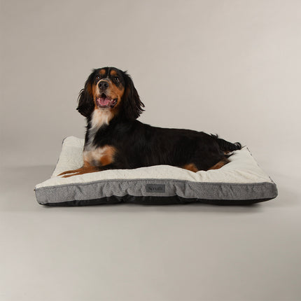Display Harmony Mattress Combo - 18 stuks