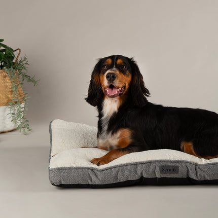 Display Harmony Mattress Combo - 18 stuks