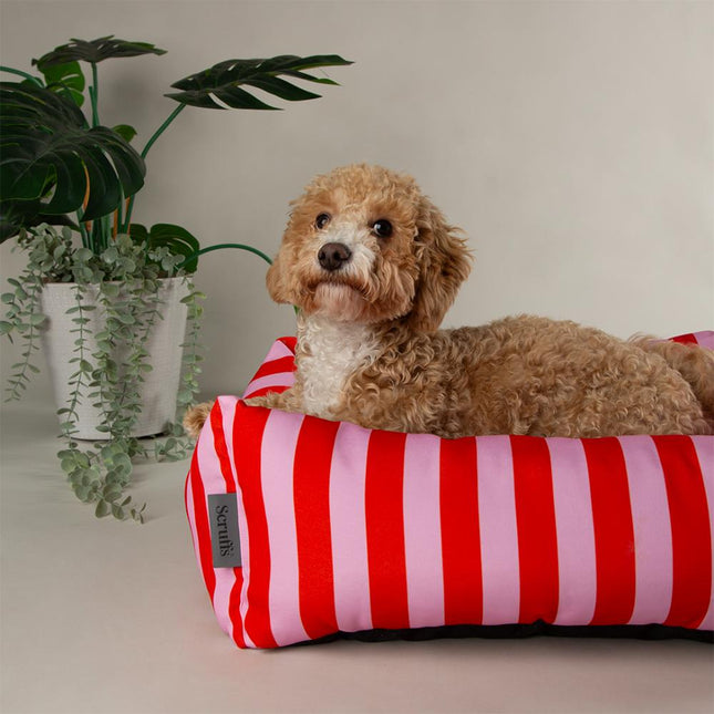 Amalfi Box Bed