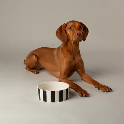Amalfi voerbak voor honden