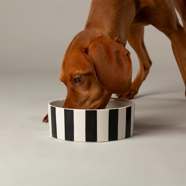 Amalfi voerbak voor honden
