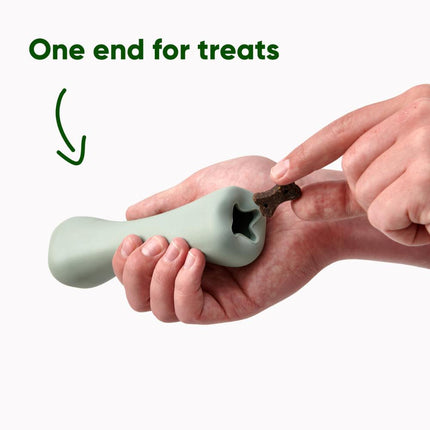 Treat Bone