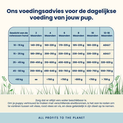Puppy Droogvoer voor Middelgrote tot Grote Hondenrassen - Kip - M/L