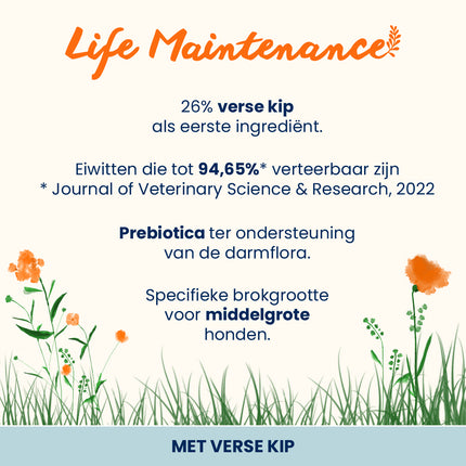Life Maintenance Trockenfutter für mittelgroße Hunderassen - M/L