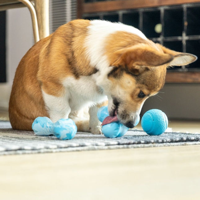 Zogoflex Boundr Puppy