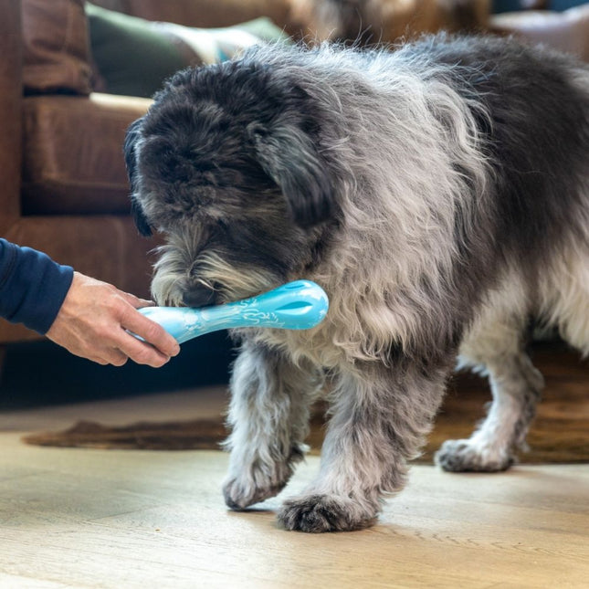 Zogoflex Hurley Puppy