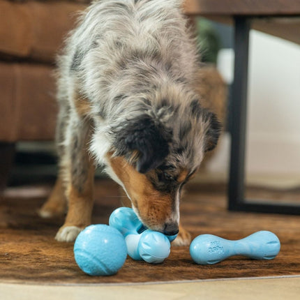 Zogoflex Hurley Puppy