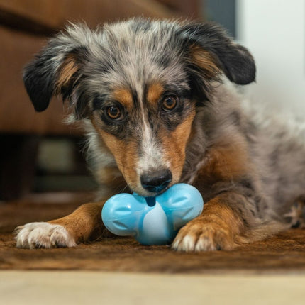 Zogoflex Tux Puppy