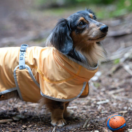 Crisp Kühljacke