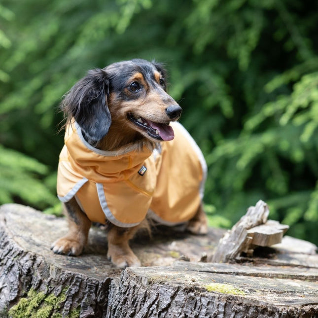 Crisp Kühljacke