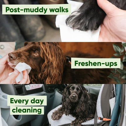 Travel Dog Wipes - Coconut Scented - 6 Stuks