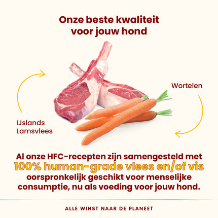HFC Natvoer Hond - Compleet - Kuipje - 17 x 85g