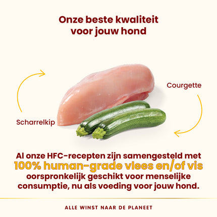 HFC Natvoer Hond - Compleet - Kuipje - 17 x 85g