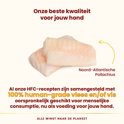 HFC Natvoer Hond - Compleet - Kuipje - 17 x 85g