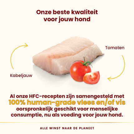 HFC Natvoer Hond - Compleet - Kuipje - 11 x 150g