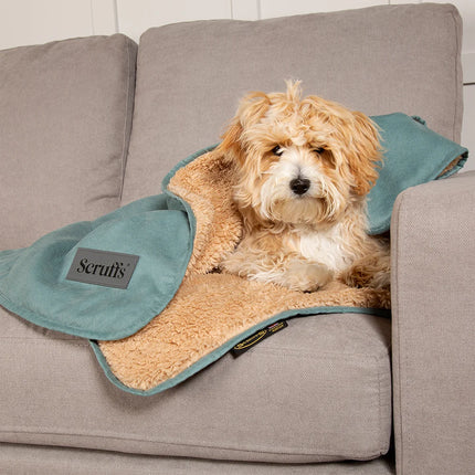 Cosy Blanket
