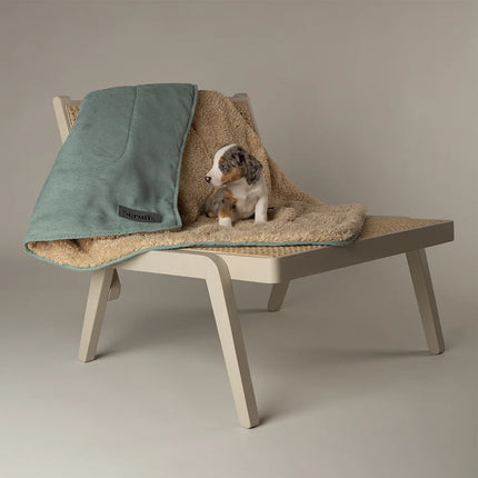 Cosy Blanket