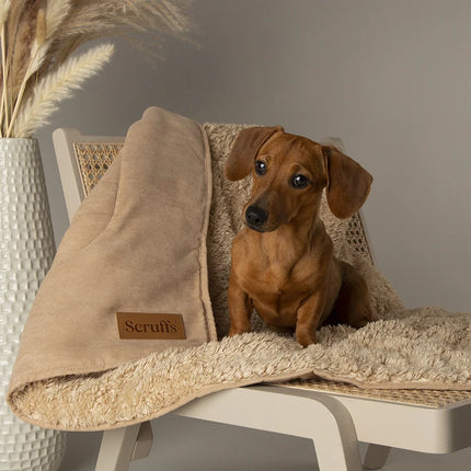 Cosy Blanket