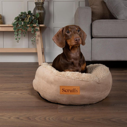 Display - Cosy Cat Bed - 24 stuks