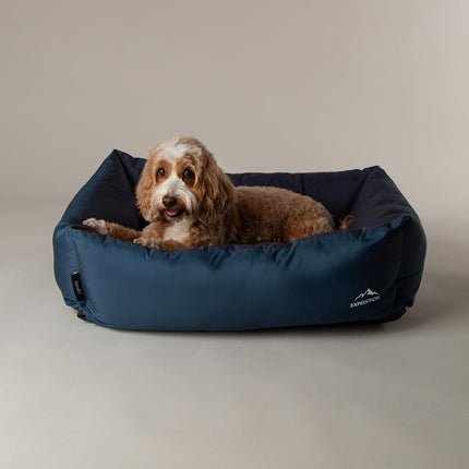 Expedition Box Bed