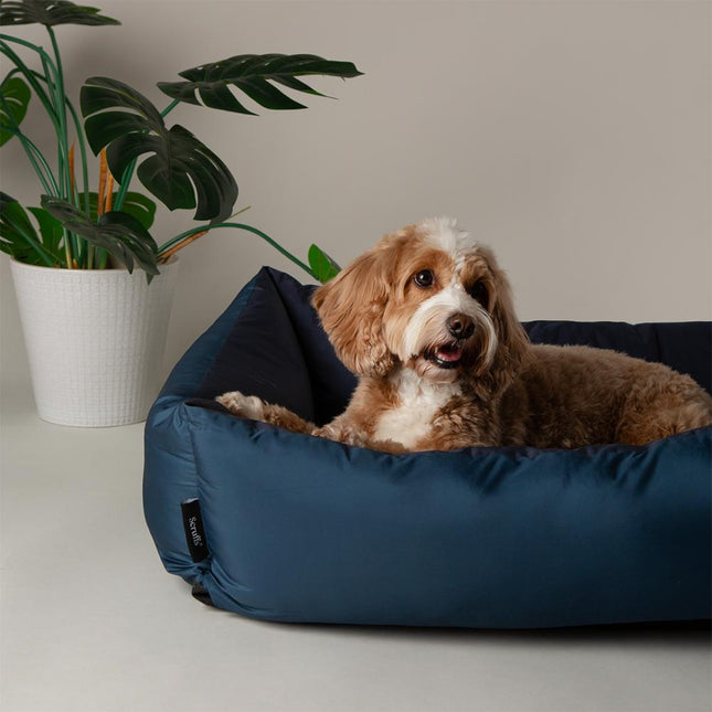 Expedition Box Bed