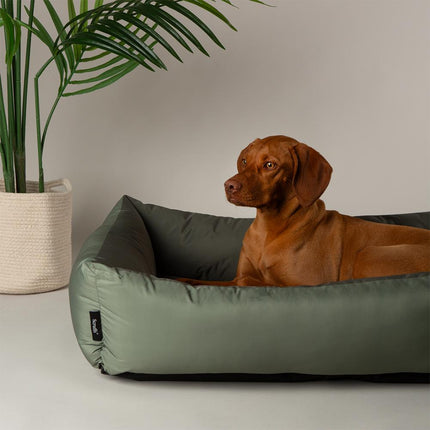 Expedition Box Bed