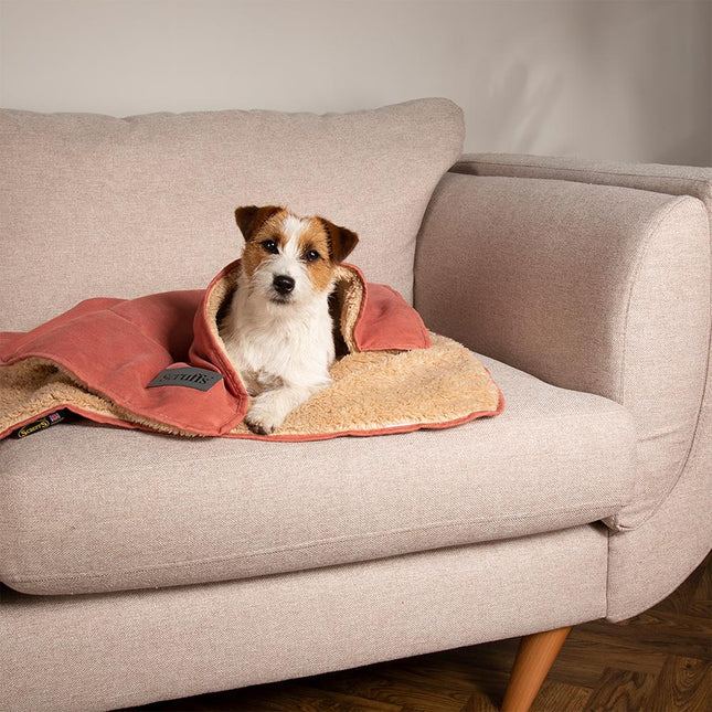 Display - Snuggle Blanket - 40 stuks