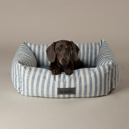 Coastal Boxbett