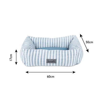 Coastal Boxbett