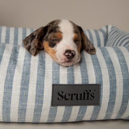 Coastal Boxbett