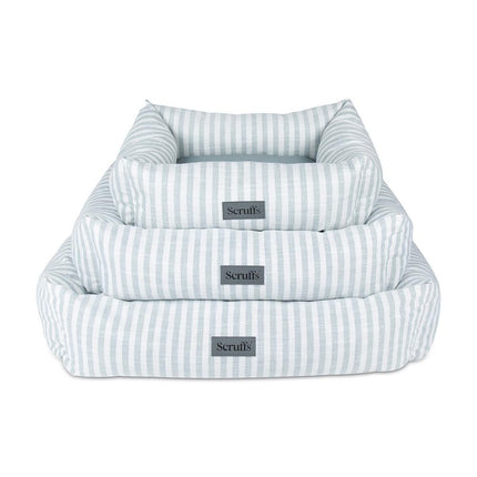 Coastal Boxbett