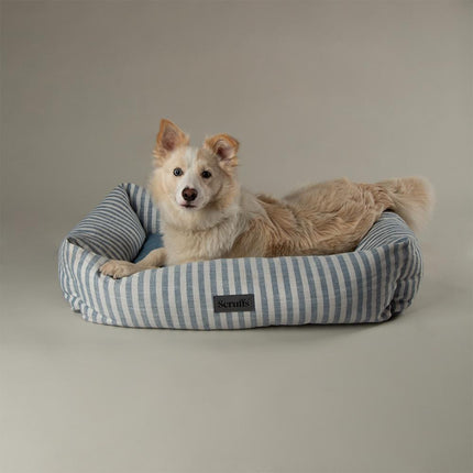 Coastal Boxbett